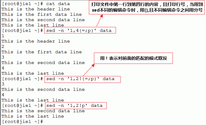 ai扩展作用：功能、使用工具、命令操作全解析