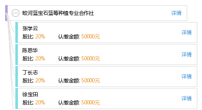 蛟河市工商行政管理部门官方网站 - 官方信息查询与业务办理一站式平台