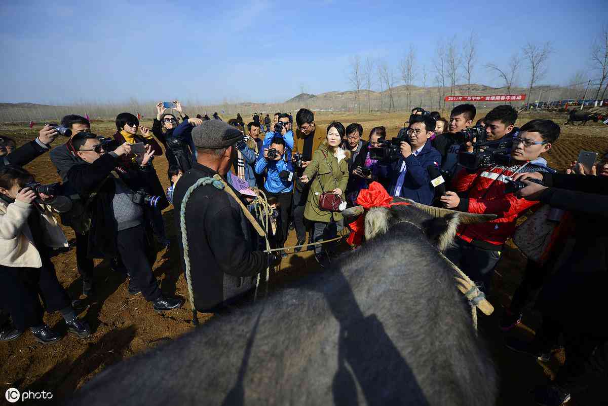 写资讯的软件盘点：哪些软件好，如何挣钱及热门软件推荐