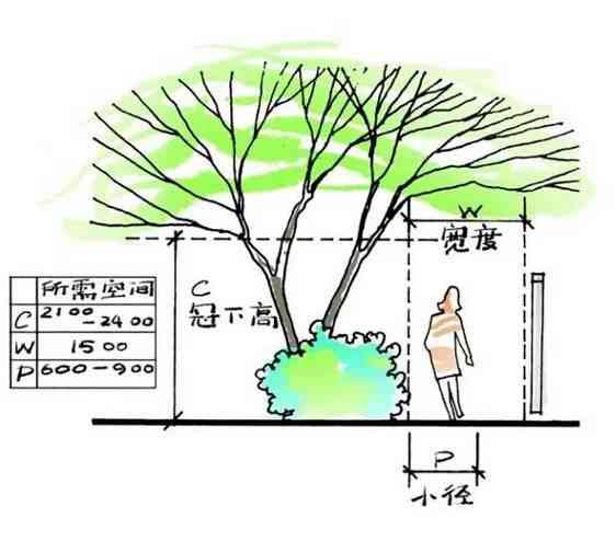 AI测量软件：智能尺寸检测与数据分析工具，全方位解决测量与评估需求