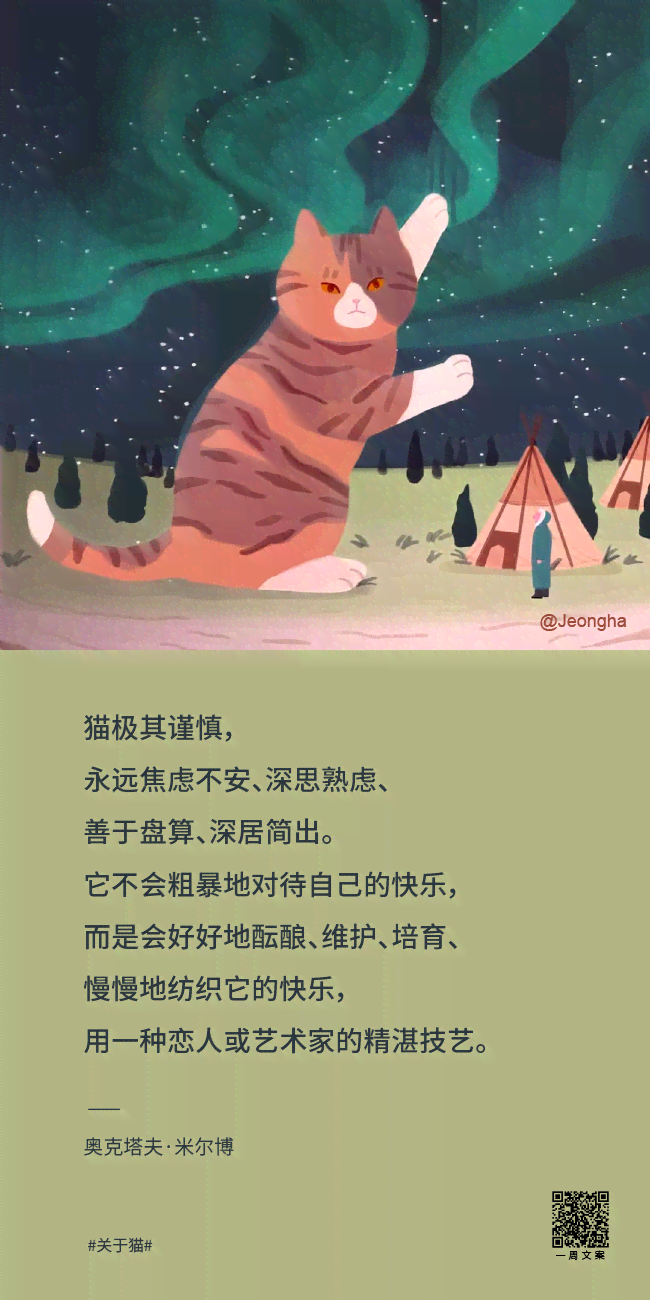 关于猫咪的馨文案：它们与猫猫朋友的可爱故事