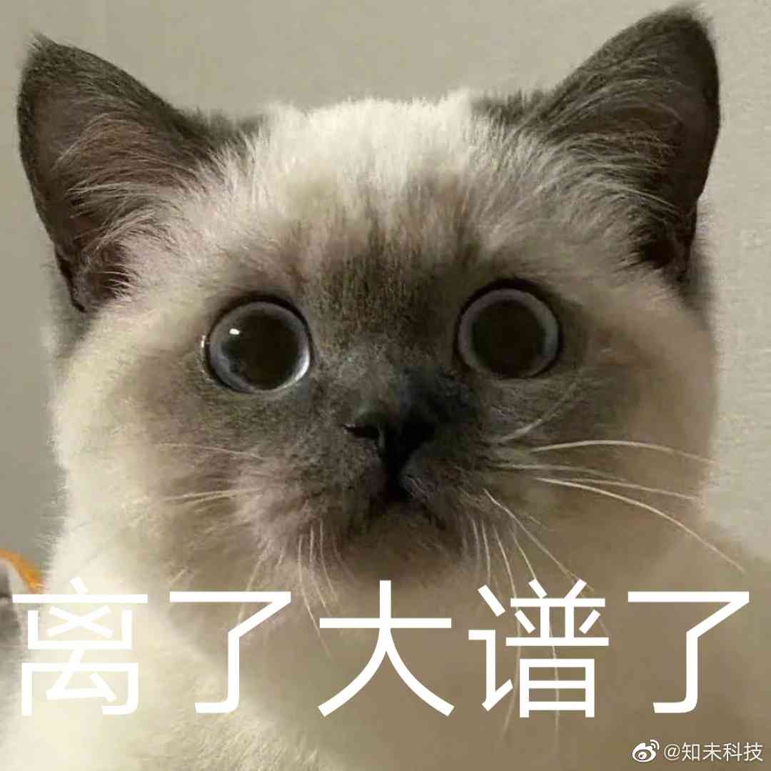 AI猫猫文案