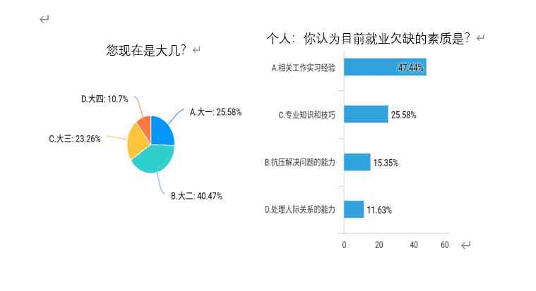 大学生职业生涯规划全景报告：自我分析、路径选择与未来展望