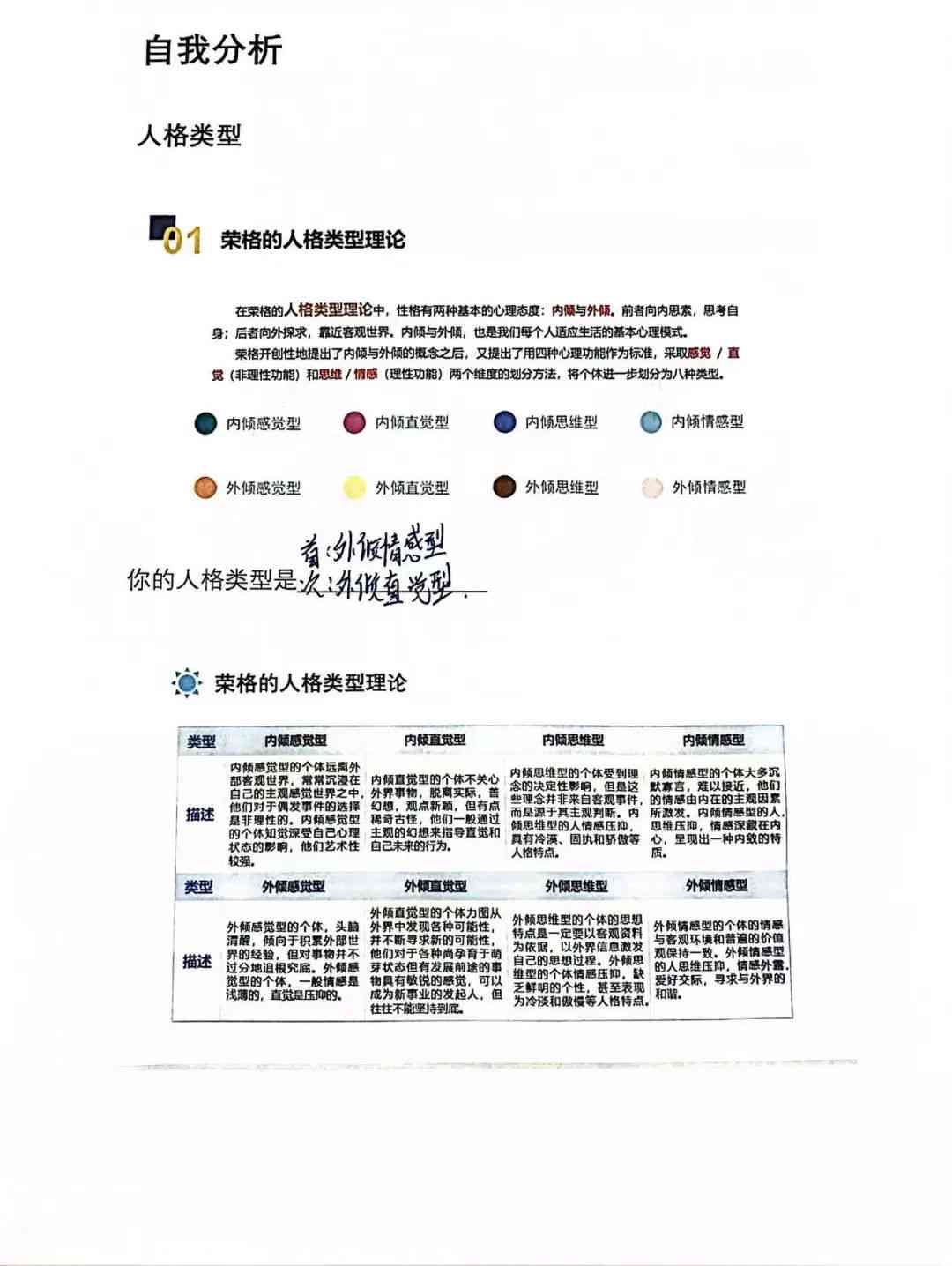 大学生职业生涯规划全景报告：自我分析、路径选择与未来展望