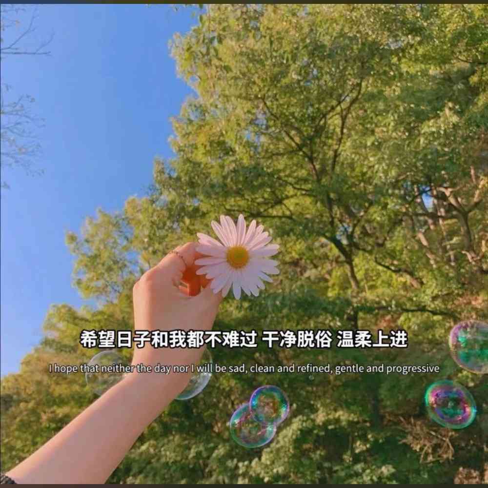 奈花园的文案：短句干净治愈，创意素材及发布技巧