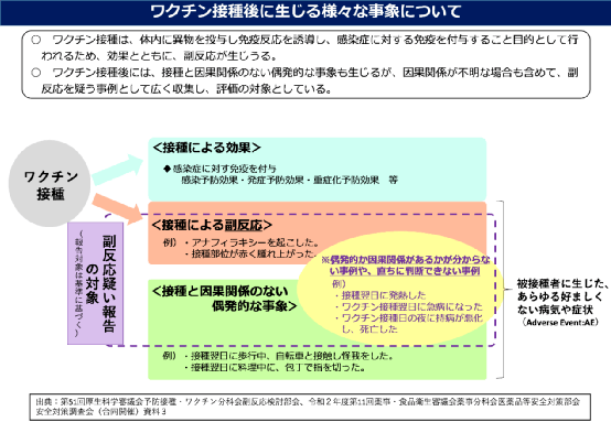 全面解读：75岁以上工伤死亡赔偿标准与相关规定解析