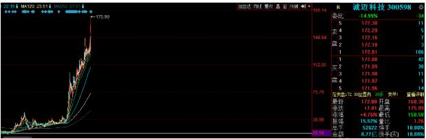 研报《券商行业研报——综合研报与模板集锦》