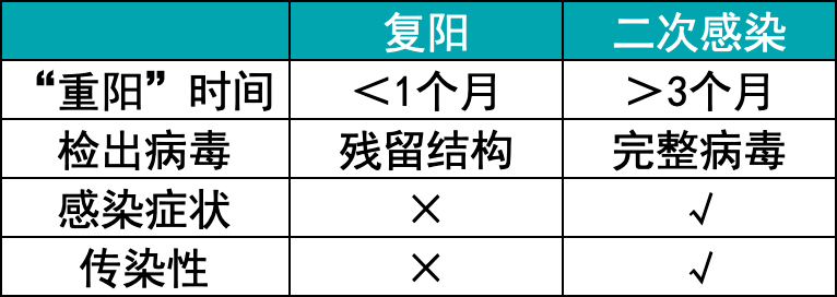 揭秘二阳：深入了解其身份、背景及相关全解析