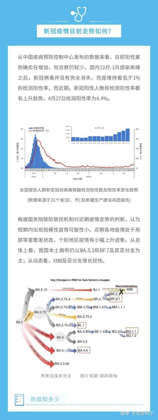 二阳表病：复者再感染、反弹趋势分析及防护措综述