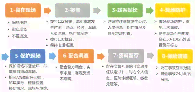 上海骑行事故处理指南：何时报警、如何报警及注意事项