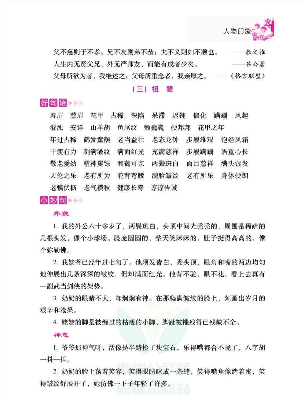 如何在50分内高效完成作文：全面攻略与技巧解析