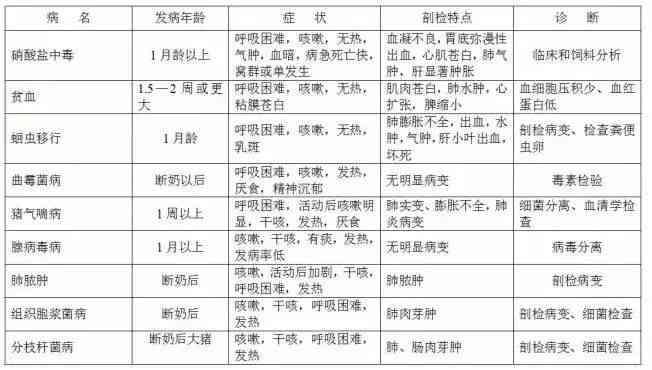 上海工伤认定与鉴定地址完整指南：涵各区办理流程与所需材料