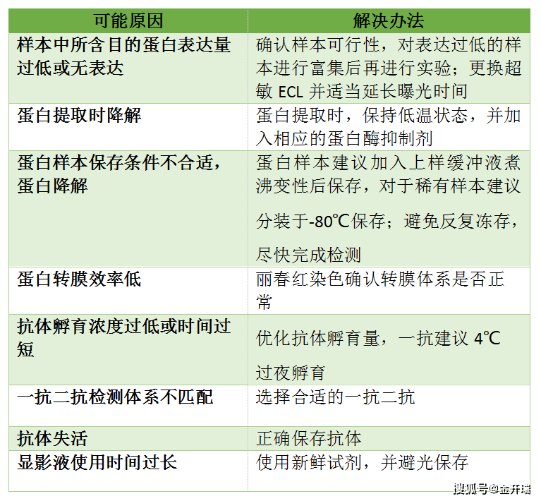 AI2021脚本大全：涵、应用案例与常见问题解决方案