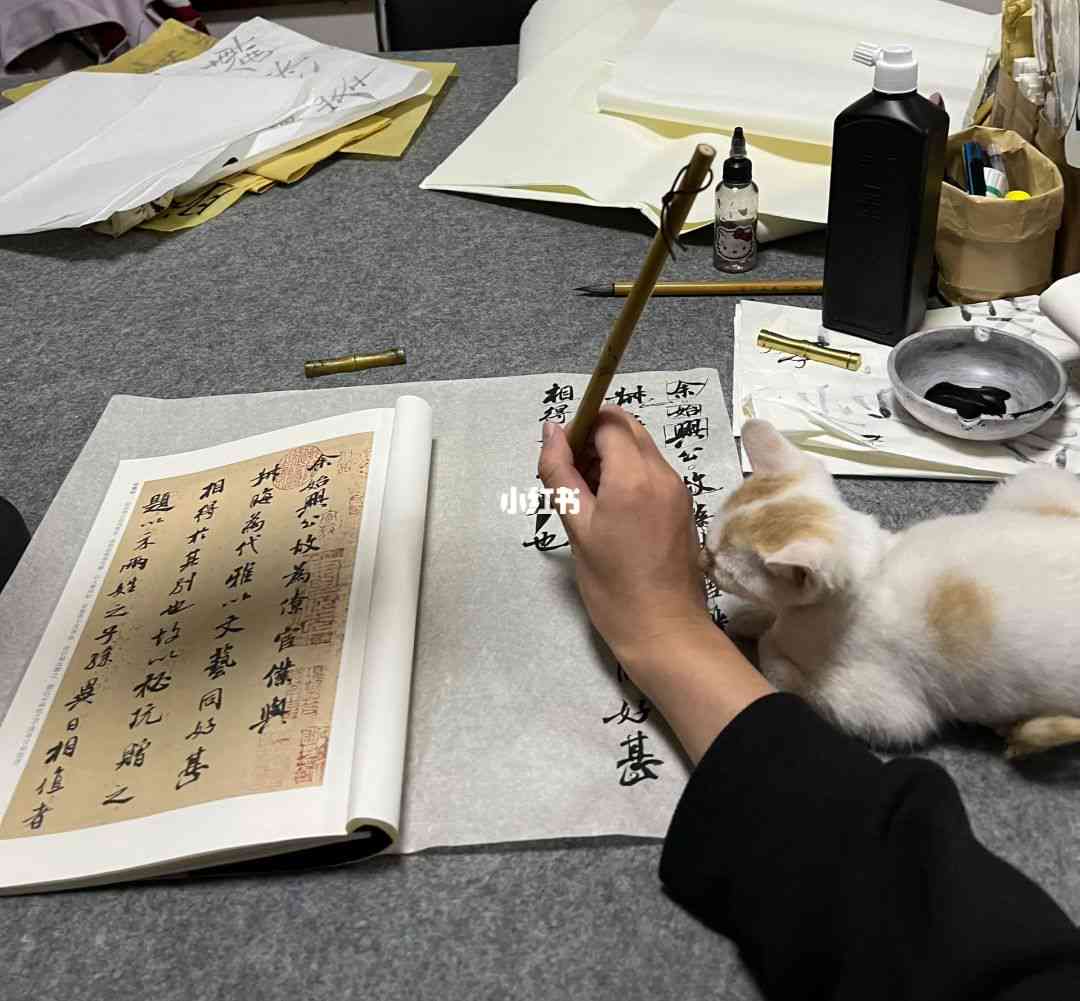 猫书法助手：手写艺术修炼