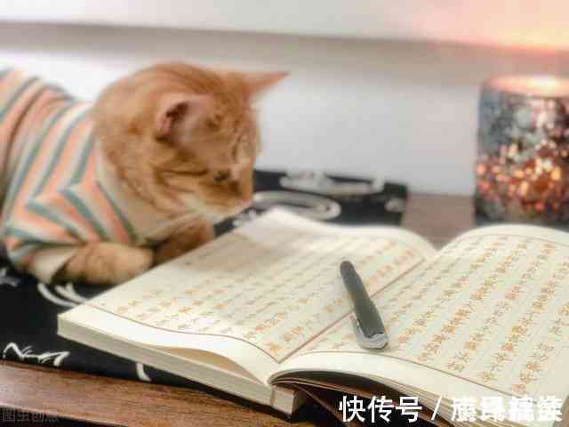 猫写作全攻略：从入门到精通，解决所有写作难题与技巧