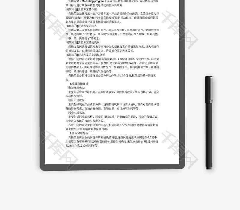 专业营销策划方案Word模板