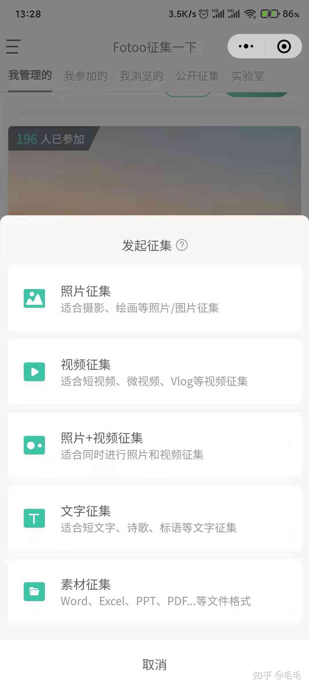 小狸猫3721：全方位解析与实用指南，满足你对可爱小狸猫的无限好奇