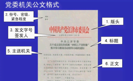 官方推荐：全方位体制内AI写作助手——高效解决公文、报告、文章创作需求