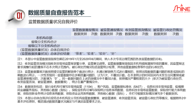 数据整改报告样板：撰写指南与方案示例