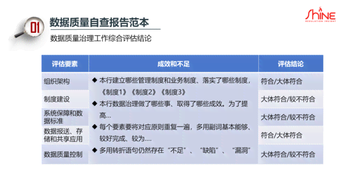 数据整改报告样板：撰写指南与方案示例