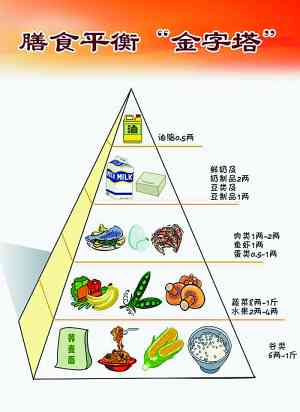 AI营养师：发展背景、糖尿病饮食指导与考证全解析