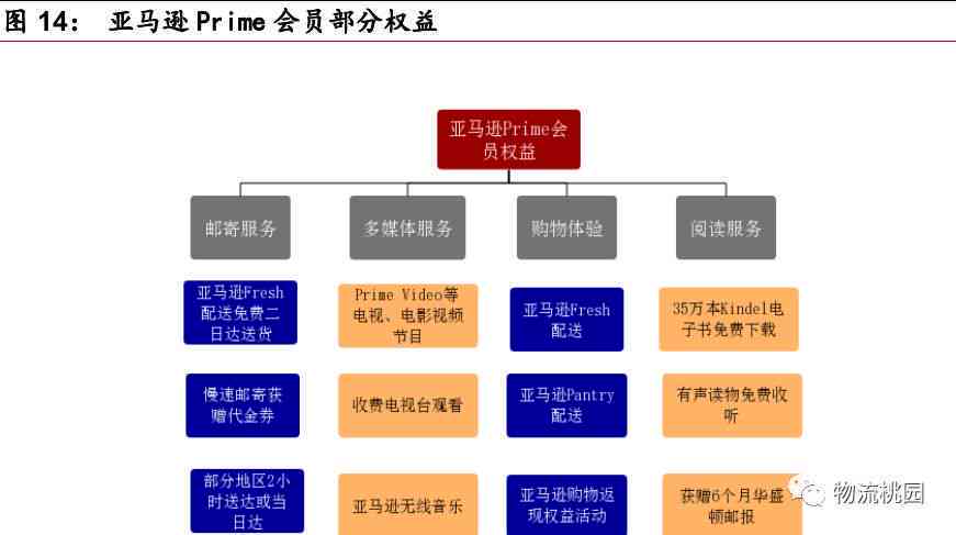 'AI钢陪练服务费用详析：各大平台价格一览对比'