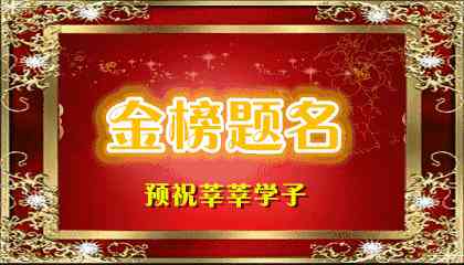 金榜题名攻略：全面解析金榜背后的秘密与成功之道