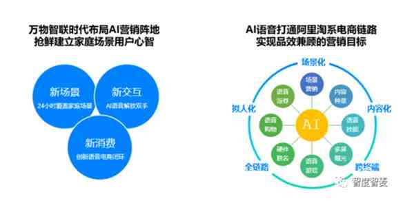 'AI赋能网剧首播：一站式智能营销策划与成功案例剖析'