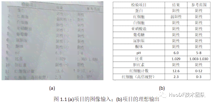 智能AI一键解析检验报告单，全面解读各项指标及临床意义