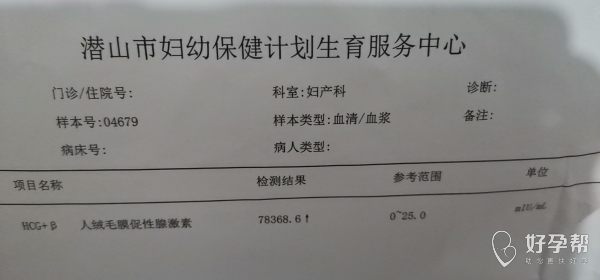 检验报告上的al是什么意思：解读检测质检报告中的al含义