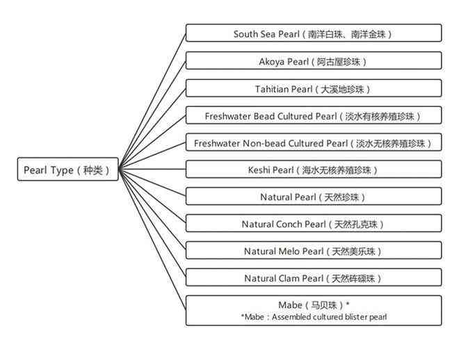 全面指南：如何准确解读各类检验报告及常见问题解析