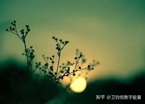 心灵疗愈：伤感文案朗读音频