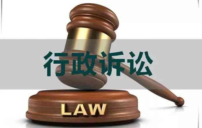 工伤认定结论不服：诉讼期间仲裁中止及救济途径与时效