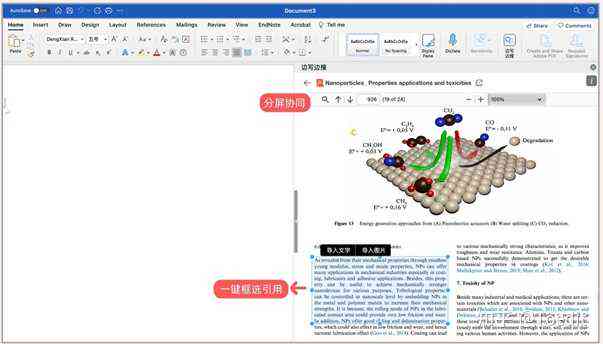 全面解析微软写作软件Word：功能特点、使用技巧与常见问题解答