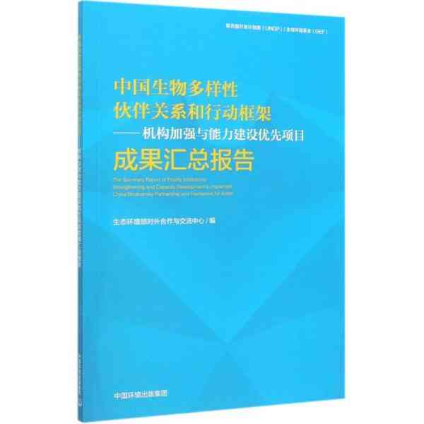 移动应用项目开发成果与经验总结报告