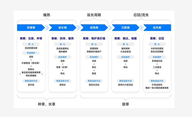 AI智能写作助手：安版全功能应用，助力高效内容创作与优化