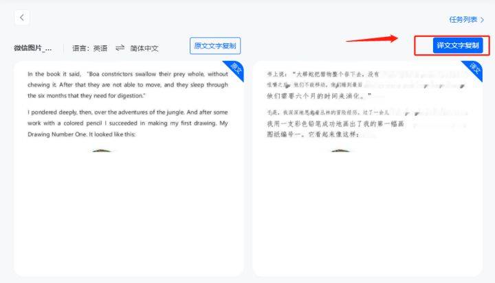 ai写作忽然不能复制文字怎么办：无法复制粘贴问题解析与解决方法