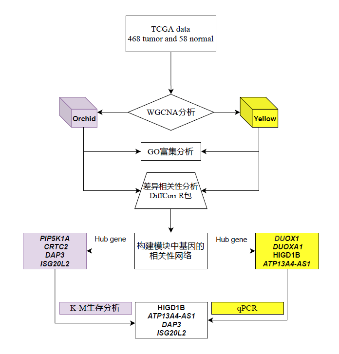 科研选题分析系统：STAS账号密码及分析方法概述与功能详解