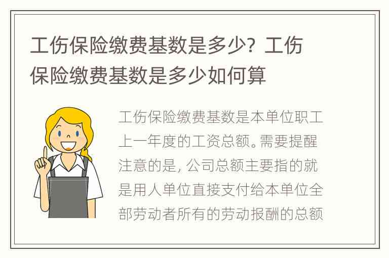 如何根据不同岗位性质合理确定工伤保险缴费基数标准