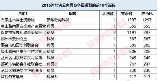 全面解析：两大热门工作岗位的职责、要求与发展前景