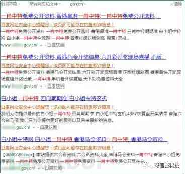 揭秘黑帽SEO：全面解析联系方法与潜在风险应对策略