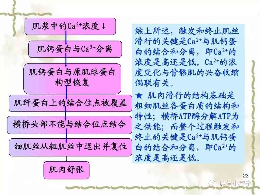 师要掌握哪些知识，前景如何？