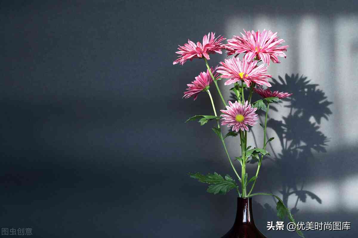 花文案唯美：短句句子集锦，简短唯美精华