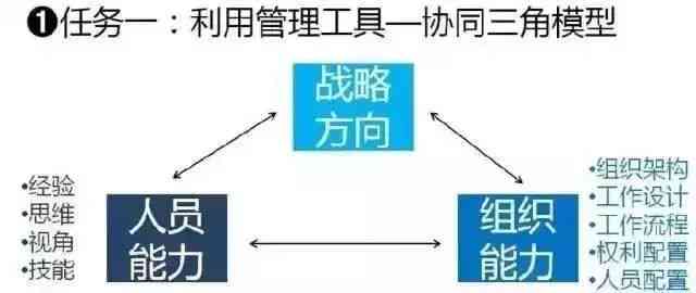 王成长轨迹：从基层到领导者的蜕变之路