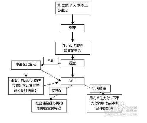 单位在个人申请工伤认定流程中的配合义务与职责