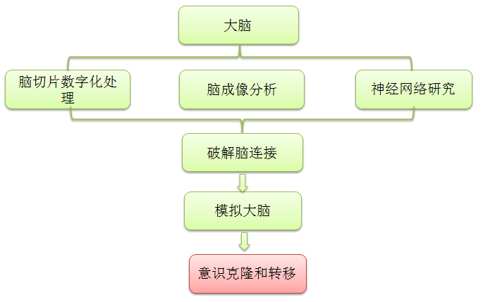 工伤认定遭遇公司阻碍：如何高效提交资料及应对后续复杂流程指南