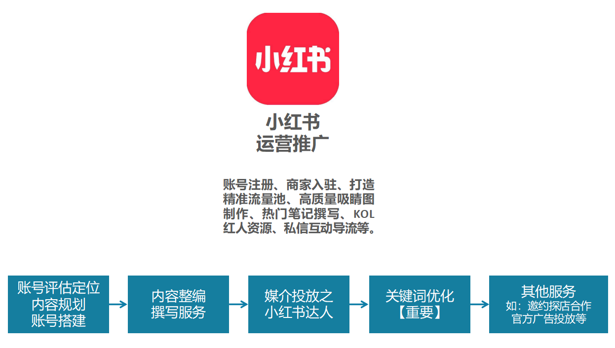 小红书创作者权益ai在哪