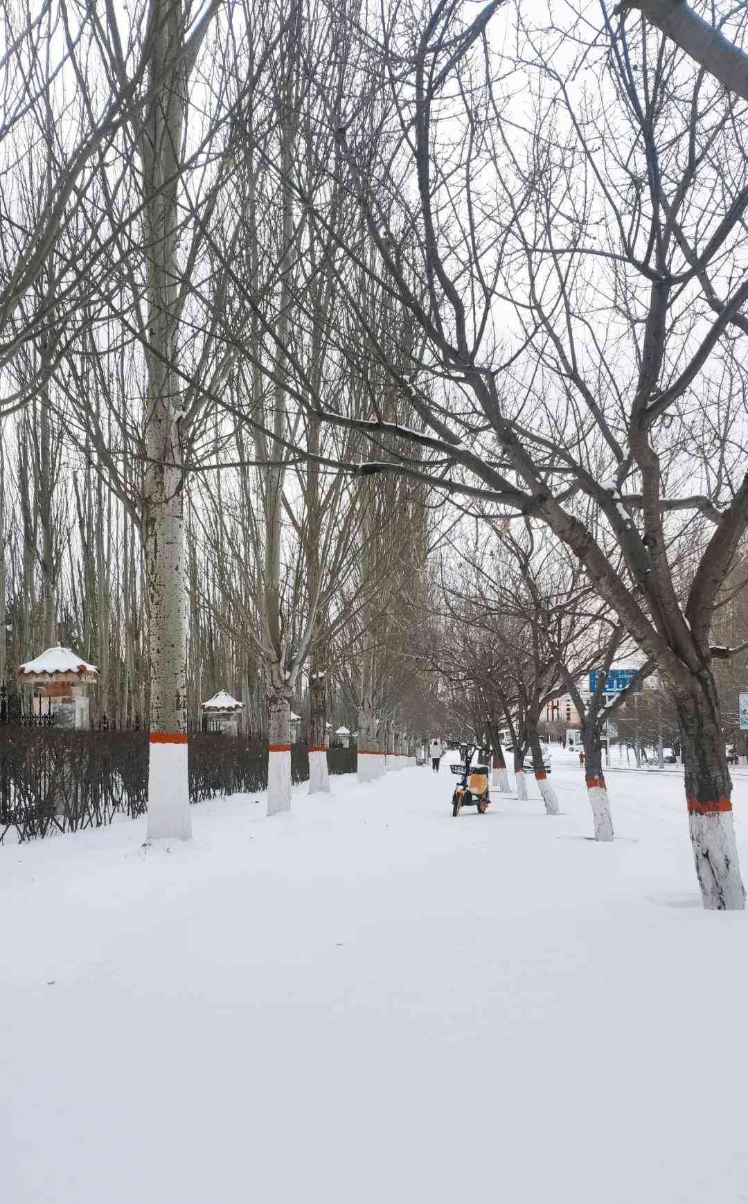 智能AI打造绝美雪景摄影作品：高清写真捕捉冬日韵味