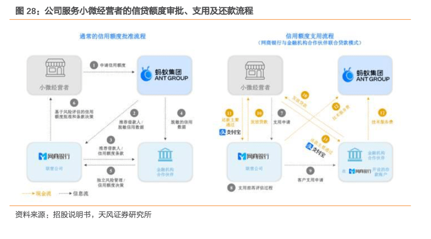 树公司：全方位解析服务、产品、发展与用户评价