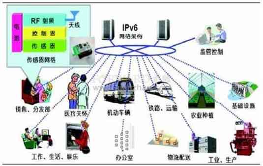 树网络公司：探析其技术创新与市场表现